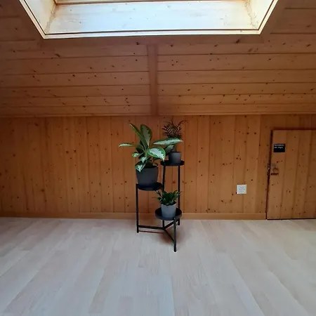 Apartment Family-friendly With Alpine View *